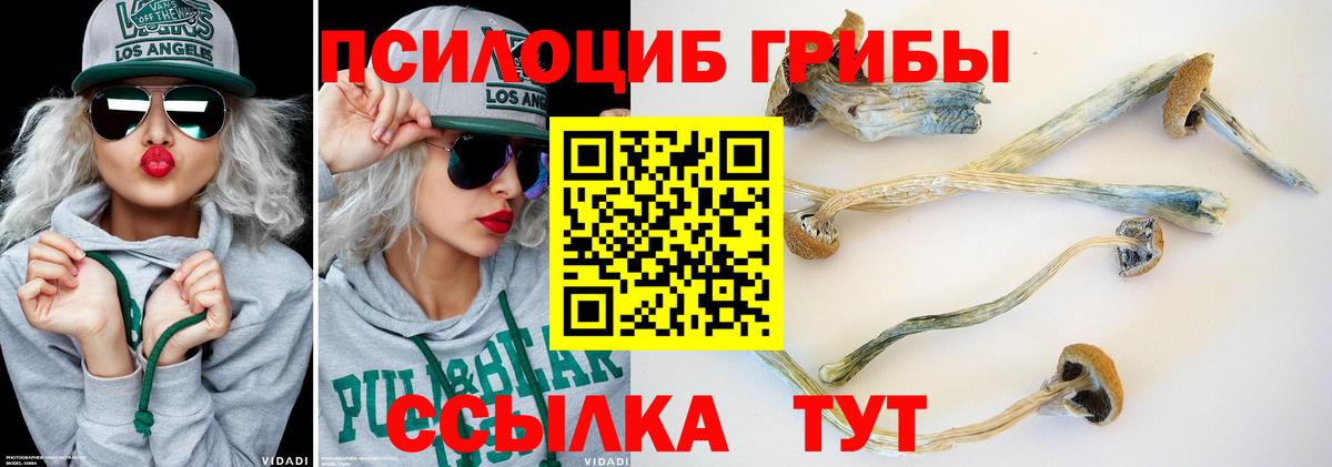 Псилоцибиновые грибы Psilocybine cubensis Спасск-Дальний