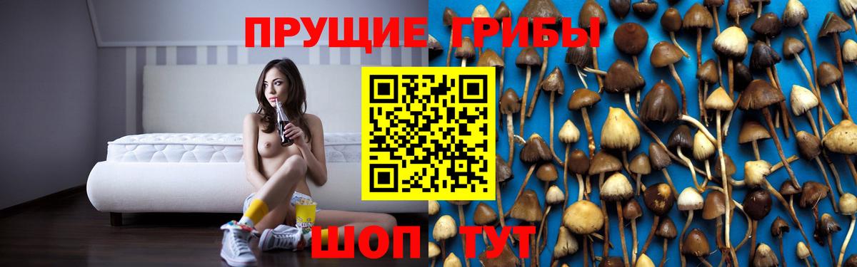 Галлюциногенные грибы Psilocybine cubensis  Вход с VPN  Спасск-Дальний 